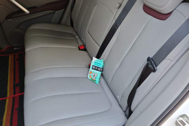 Used Baojun RS-5 2019 1.5T CVT Intelligent Driving Flagship Version China VI Emission Standard Left Rear Seat