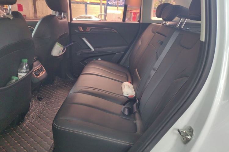 Used Baojun RS-5 2019 1.5T CVT Intelligent Driving Luxury Edition China V Left Rear Seat