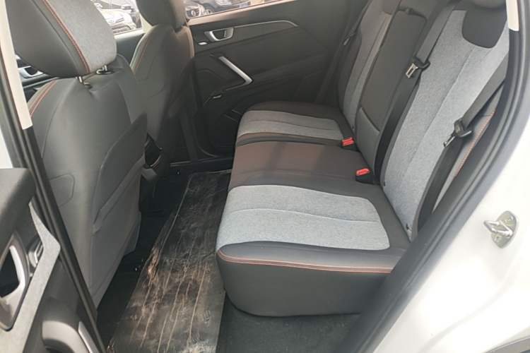Used Baojun RS-5 2019 1.5T Manual Super Connectivity Version China VI Left Rear Seat