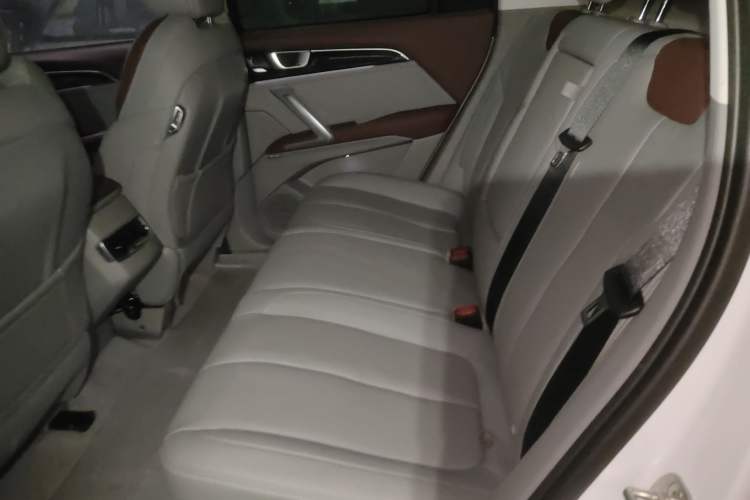 Used Baojun RS-5 2019 1.5T CVT Intelligent Driving Flagship Version China VI Emission Standard Left Rear Seat