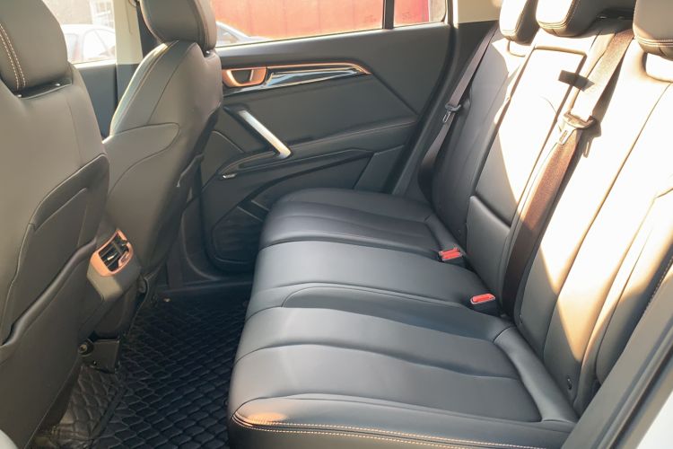 Used Baojun RS-5 2019 1.5T CVT Intelligent Drive Luxury Edition China VI Left Rear Seat