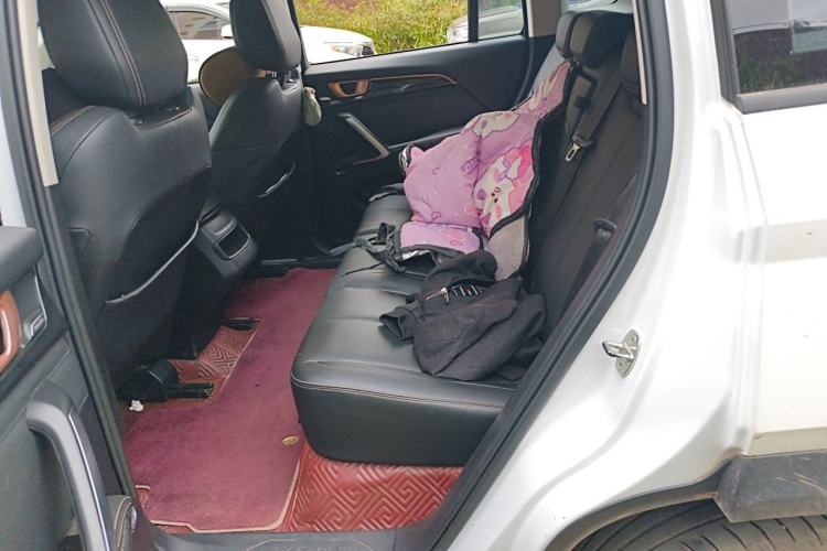 Used Baojun RS-5 2019 1.5T Manual Super Connected Luxury Edition China VI Left Rear Seat
