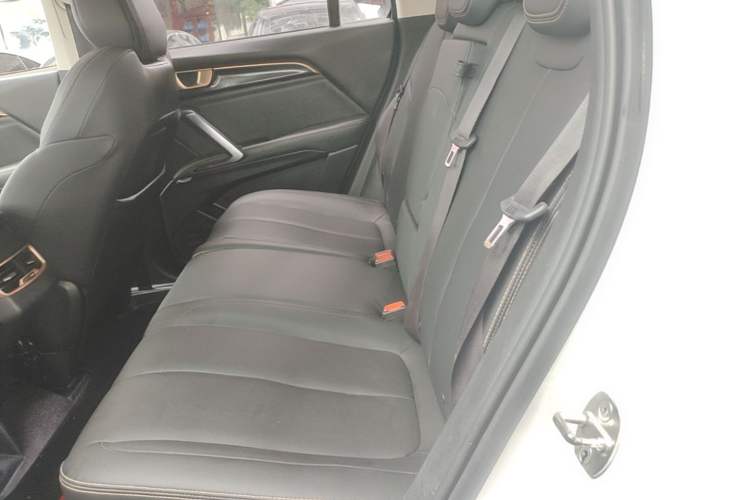 Used Baojun RS-5 2019 1.5T CVT Intelligent Drive Luxury Edition China VI Left Rear Seat