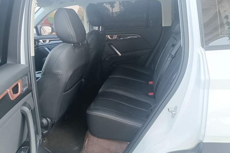 Used Baojun RS-5 2019 1.5T Manual Super Connected Luxury Edition China VI Left Rear Seat