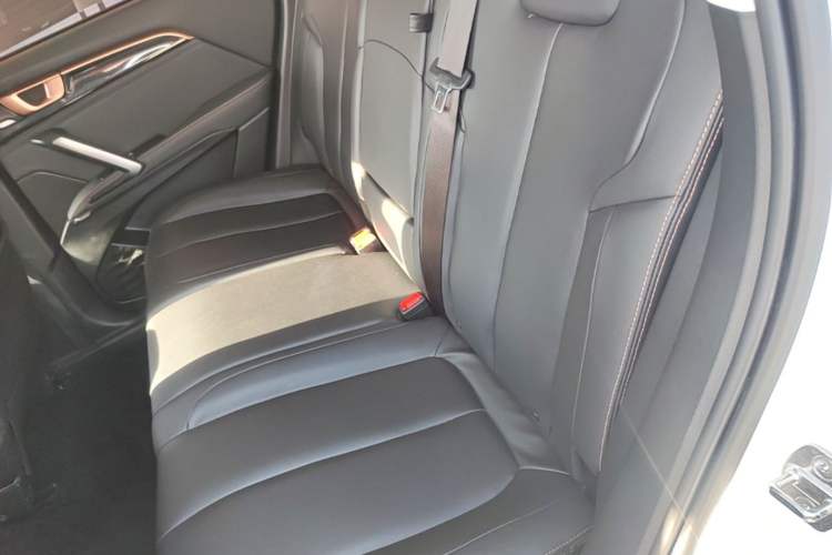 Used Baojun RS-5 2019 1.5T Manual Super Connected Luxury Edition China VI Left Rear Seat