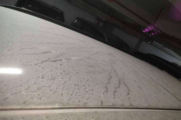 Used Baojun RS-5 2019 1.5T CVT Intelligent Driving Flagship Version China VI Emission Standard Roof