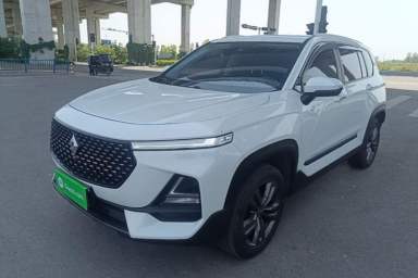 Used Baojun RS-5 2019 1.5T Manual Super Connected Luxury Edition China VI