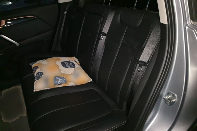 Used Baojun RS-5 2020 1.5T CVT 24-Hour Online Luxury Edition Left Rear Seat