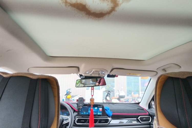 Used Baojun RS-5 2020 300T CVT Smart Flagship Edition Headliner