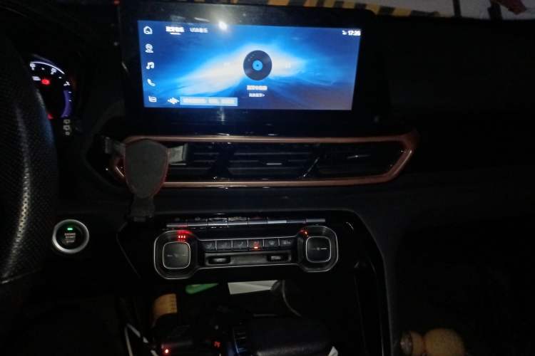 Used Baojun RS-5 2020 1.5T CVT 24-Hour Online Luxury Edition Audio And AC Panel