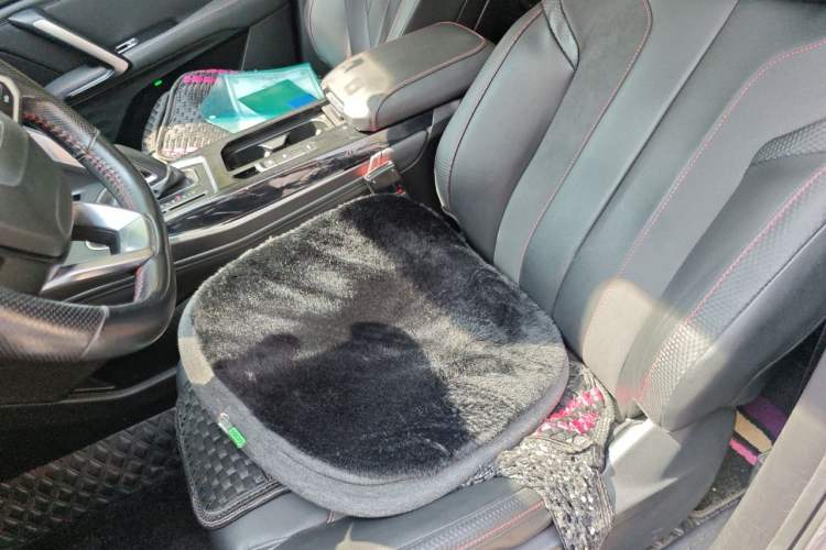 Used Baojun RS-5 2020 300T CVT Smart Flagship Edition Left Front Seat