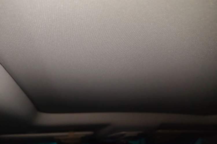Used Baojun RS-5 2020 300T CVT Smart Flagship Edition Headliner