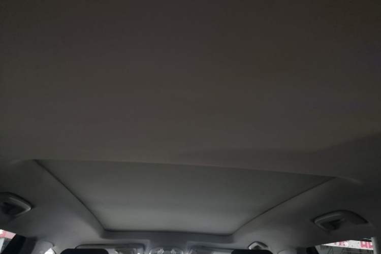 Used Baojun RS-5 2020 300T CVT Smart Flagship Edition Headliner