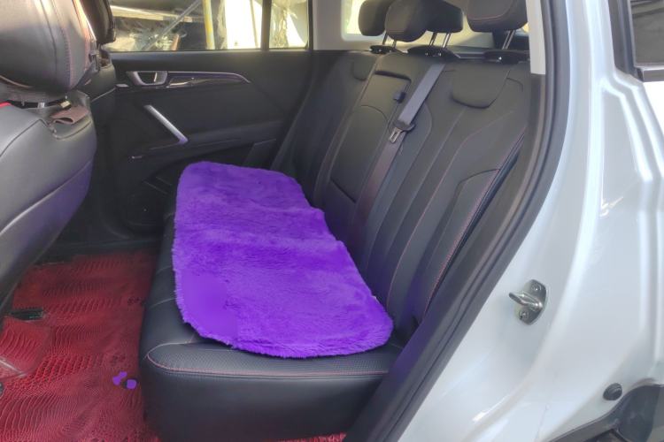Used Baojun RS-5 2020 300T CVT Smart Flagship Edition Left Rear Seat
