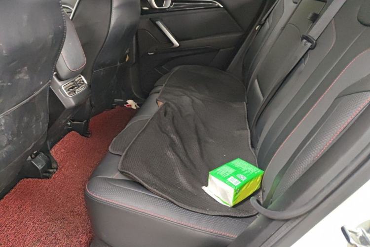 Used Baojun RS-5 2020 300T CVT Smart Flagship Edition Left Rear Seat