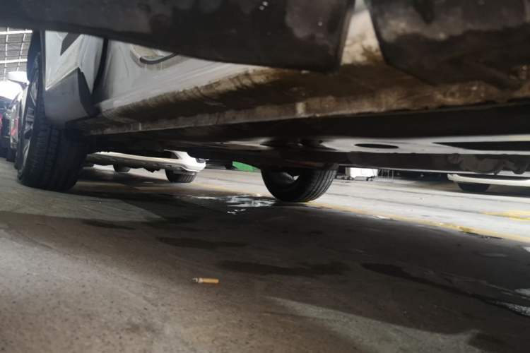 Used Baojun RS-5 2020 300T CVT Smart Flagship Edition Right Side Sill