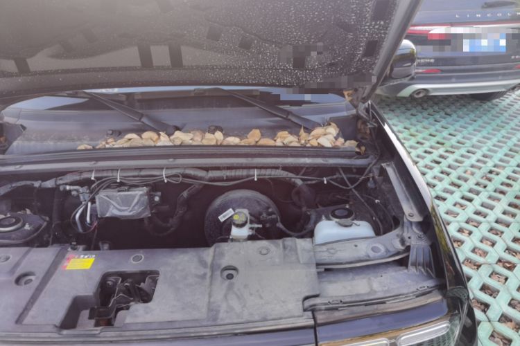 Used Baojun Spark 2023 Flagship Edition Engine Bay Left