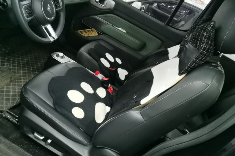 Used Baojun Spark 2023 Flagship Edition Left Front Seat