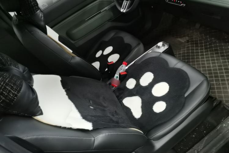 Used Baojun Spark 2023 Flagship Edition Right Front Seat