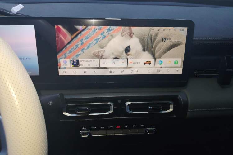 Used Baojun Spark 2023 Flagship Edition Audio And AC Panel