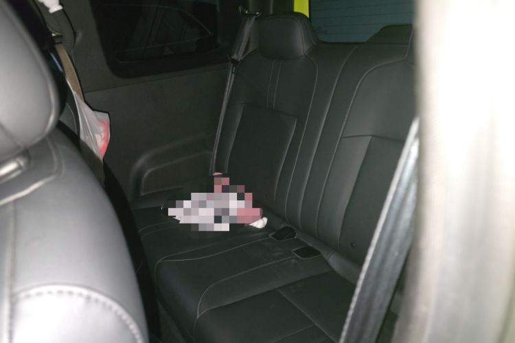 Used Baojun Spark 2023 Intelligent Premium Edition Left Rear Seat