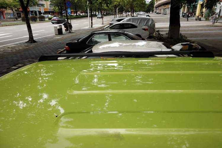 Used Baojun Spark 2023 Intelligent Premium Edition Roof
