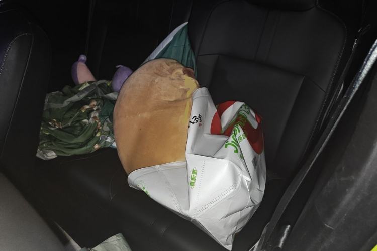 Used Baojun Spark 2023 Intelligent Premium Edition Left Rear Seat