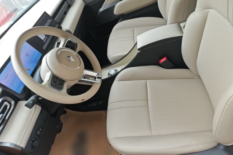 Used Baojun Spark 2023 Flagship Edition Left Front Seat