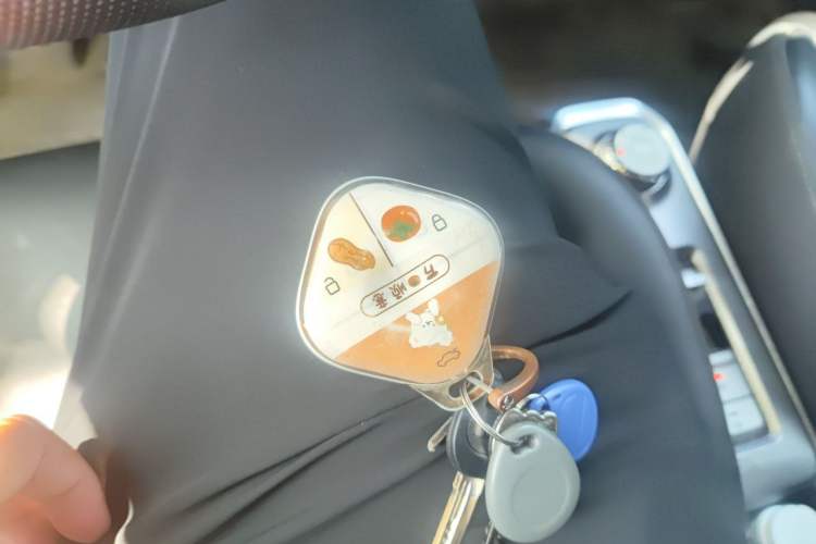 Used Baojun Spark 2023 Intelligent Premium Edition Vehicle Key