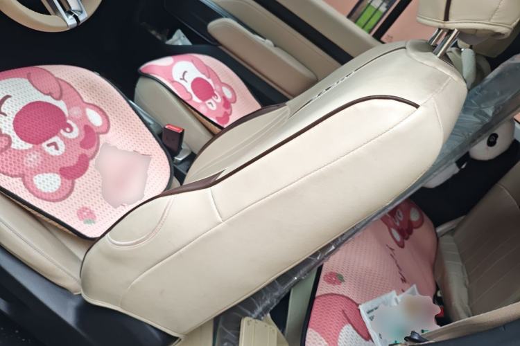 Used Baojun Spark 2023 Flagship Edition Left Front Seat