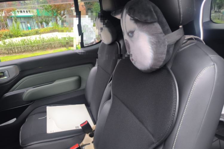 Used Baojun Spark 2023 Intelligent Premium Edition Left Front Seat