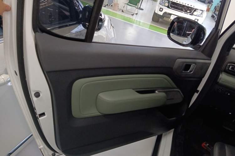 Used Baojun Spark 2023 Intelligent Premium Edition Left Rear Door Interior