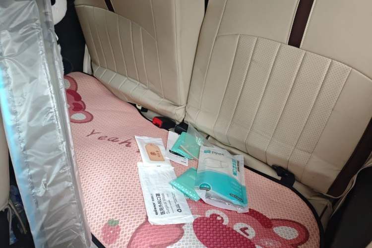 Used Baojun Spark 2023 Flagship Edition Left Rear Seat