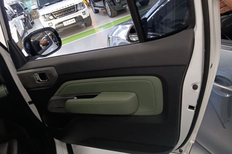 Used Baojun Spark 2023 Intelligent Premium Edition Right Rear Door Interior