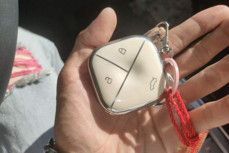 Used Baojun Spark 2023 Intelligent Premium Edition Vehicle Key