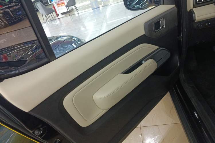 Used Baojun Spark 2023 Intelligent Premium Edition Left Front Door Interior