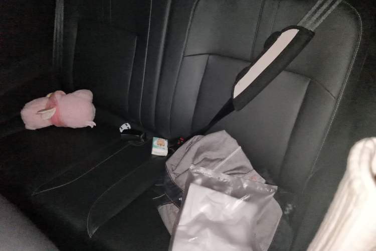 Used Baojun Spark 2023 Flagship Edition Left Rear Seat