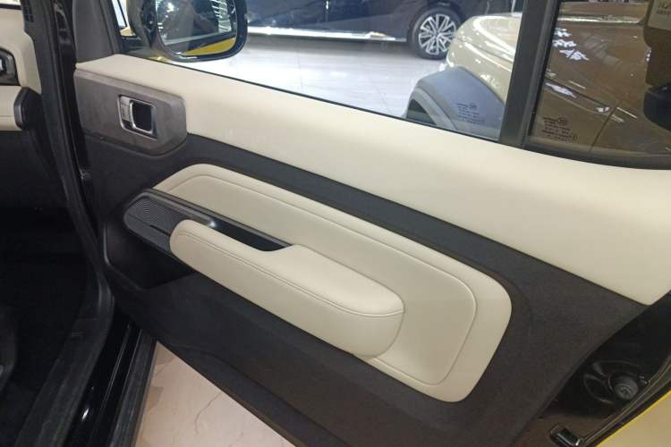 Used Baojun Spark 2023 Intelligent Premium Edition Right Front Door Interior