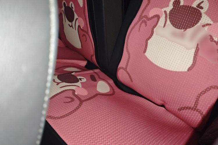Used Baojun Spark 2024 Intelligent Premium Edition Left Rear Seat