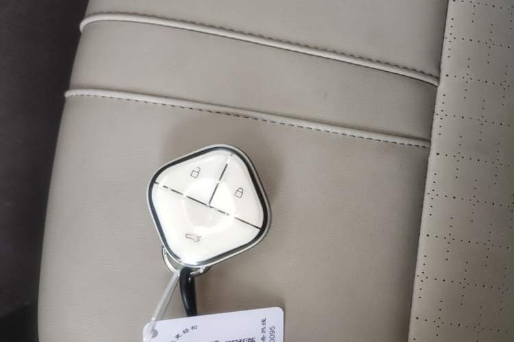 Used Baojun Spark 2024 Intelligent Premium Edition Vehicle Key