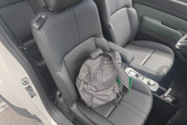 Used Baojun Spark 2025 Model 2nd Anniversary Edition Right Front Seat