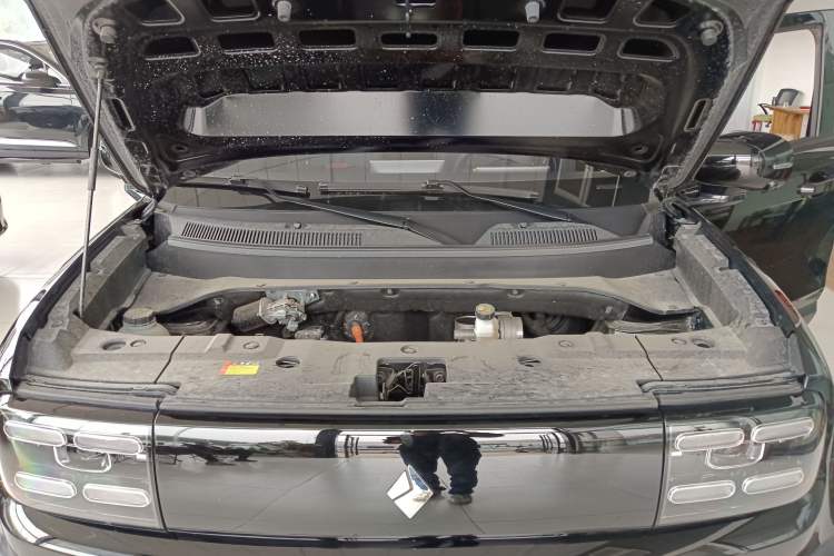 Used Baojun Spark EUV 2024 Prestige Edition 4 Seats Engine Bay