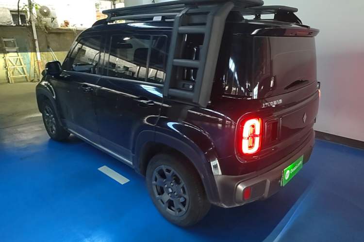 Used Baojun Spark EUV 2024 Flagship Edition 4 Seats Rear Left 45 Deg