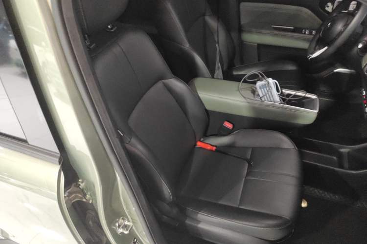 Used Baojun Spark EUV 2024 Prestige Edition 4 Seats Right Front Seat