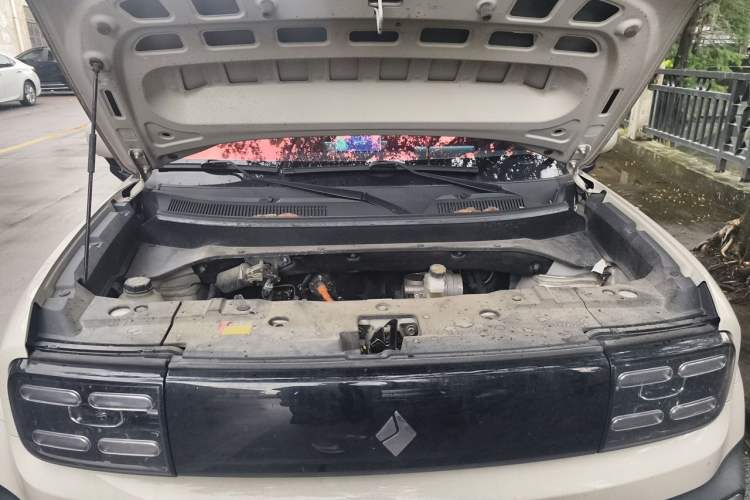 Used Baojun Spark EUV 2024 Prestige Edition 4 Seats Engine Bay