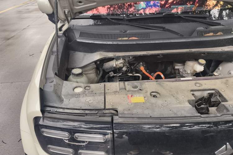 Used Baojun Spark EUV 2024 Prestige Edition 4 Seats Engine Bay Right