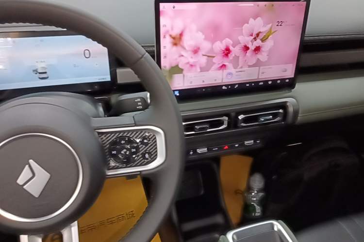 Used Baojun Spark EUV 2026 301km Flagship Edition Gear Lever