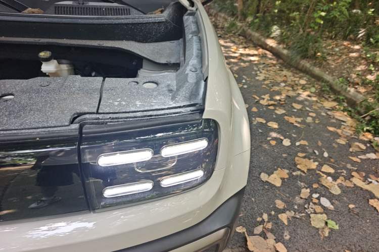 Used Baojun Spark EUV 2026 301km Flagship Edition Engine Bay Left