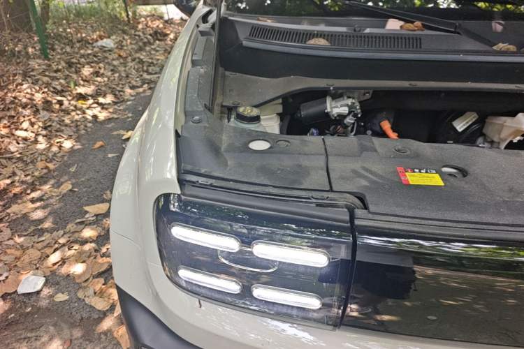 Used Baojun Spark EUV 2026 301km Flagship Edition Engine Bay Right