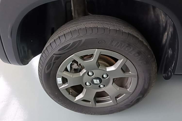Used Baojun Spark EUV 2026 301km Flagship Edition Exterior 5